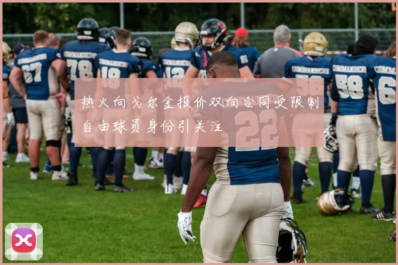 热火向戈尔金报价双向合同受限制自由球员身份引关注