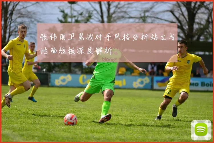 张伟丽卫冕战对手风格分析站立与地面短板深度解析