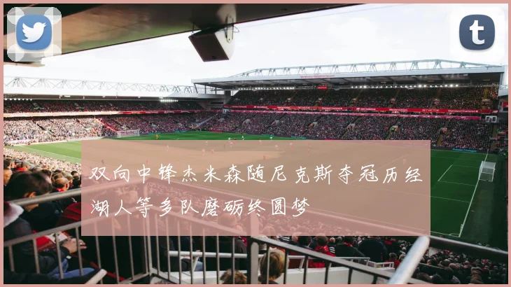 双向中锋杰米森随尼克斯夺冠历经湖人等多队磨砺终圆梦