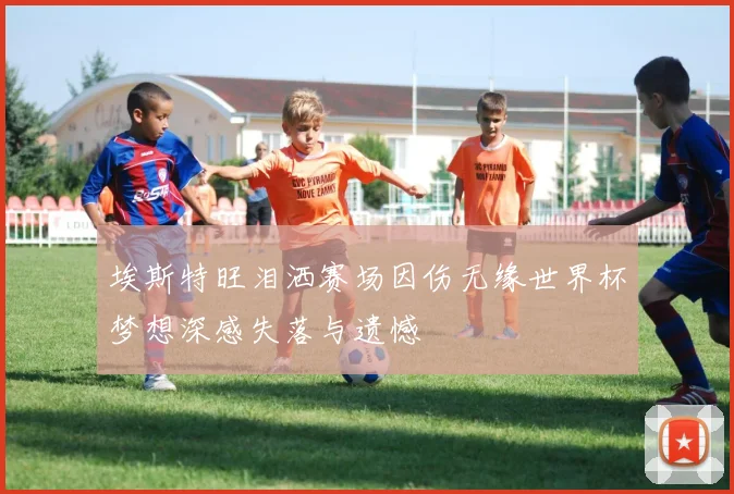 埃斯特旺泪洒赛场因伤无缘世界杯梦想深感失落与遗憾